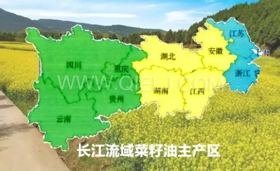 濃香菜籽油成套設備，企鵝糧油機械品質(zhì)出眾(圖1)